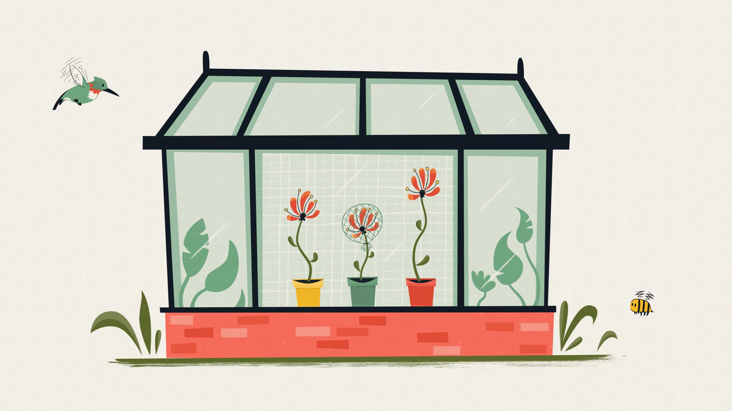 animated explainer video company greenhouse