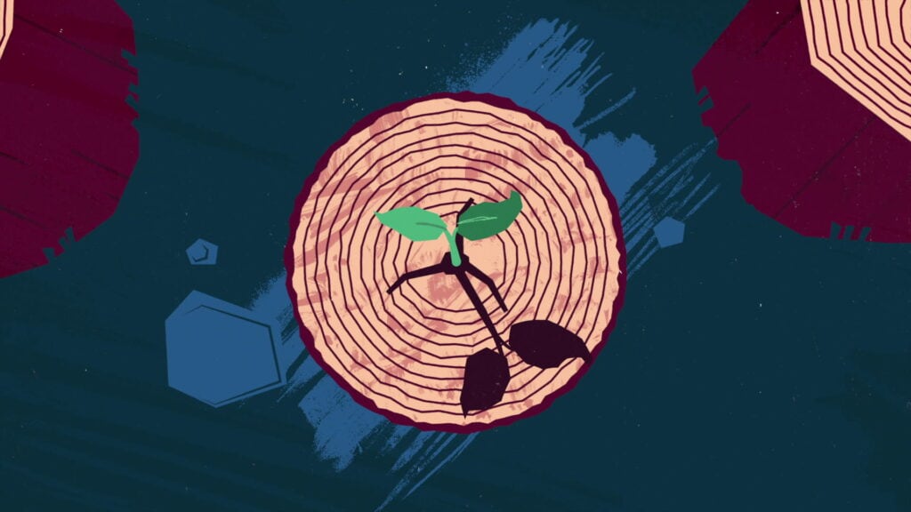 Tree - animation video company